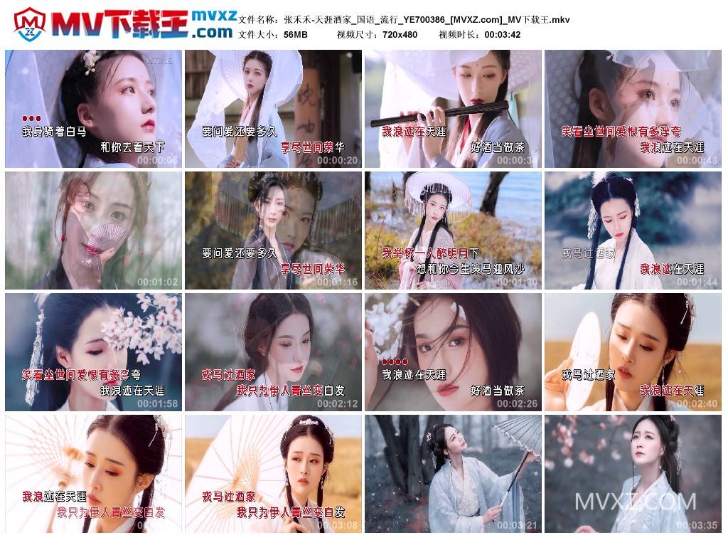 张禾禾-天涯酒家_国语_流行_YE700386